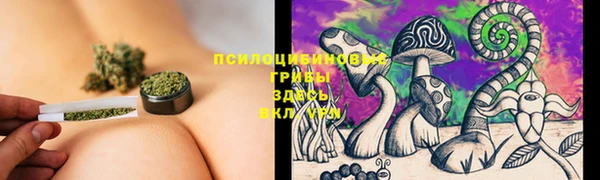 мяу мяу мука Абдулино