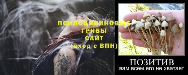 каннабис Абаза