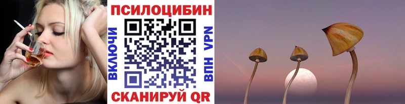 KRAKEN ссылка  Тулун  Псилоцибиновые грибы мухоморы 
